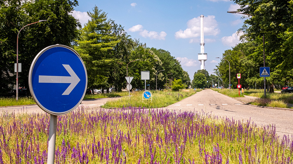 Hauptachse Campus Nord mit Wasserturm